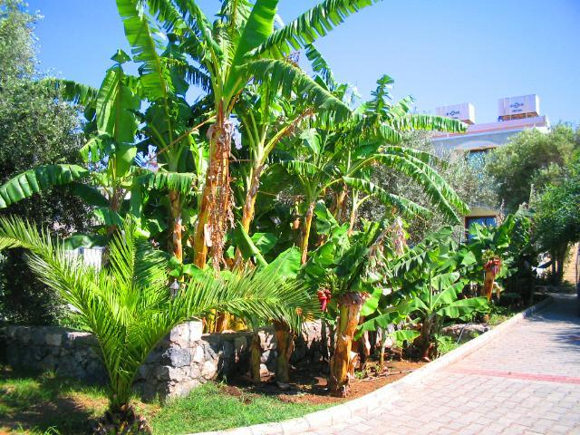 Bare Hill Holiday Village Elea المظهر الخارجي الصورة